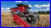 Case_Ih_Af10_Combine_USA_250_Edition_Harvesting_Wheat_01_dq