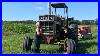 Field_Day_With_The_Ih_1066_01_krh