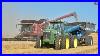 Harvesting_Wheat_Double_Cropping_Soybeans_01_ww