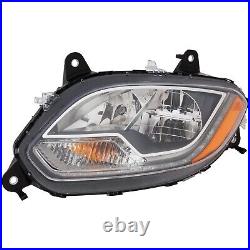 Headlight Driving Head light Headlamp Driver Left Side Hand 4049967C95