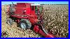 International_Harvester_1460_Combine_Harvesting_Corn_01_khp