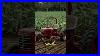 International_Harvester_Farmall_Cub_Tractor_01_cepc