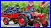 Monkey_Nana_Drives_A_Tractor_And_Embarks_On_The_Journey_Of_Planting_A_Vineyard_Nana_Monkey_Life_01_fzbi