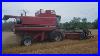 My_First_Wheat_Harvest_With_A_Case_Ih_Combine_Video_01_yin