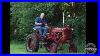 Small_Chore_Beauty_1953_Far_Asmall_Cub_International_Harvester_Classic_Tractors_Tv_01_eth
