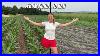 Will_Our_Corn_Make_Or_Break_The_Bank_01_erwk